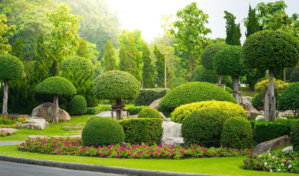 Hero image for JP Rose Creative Landscaping