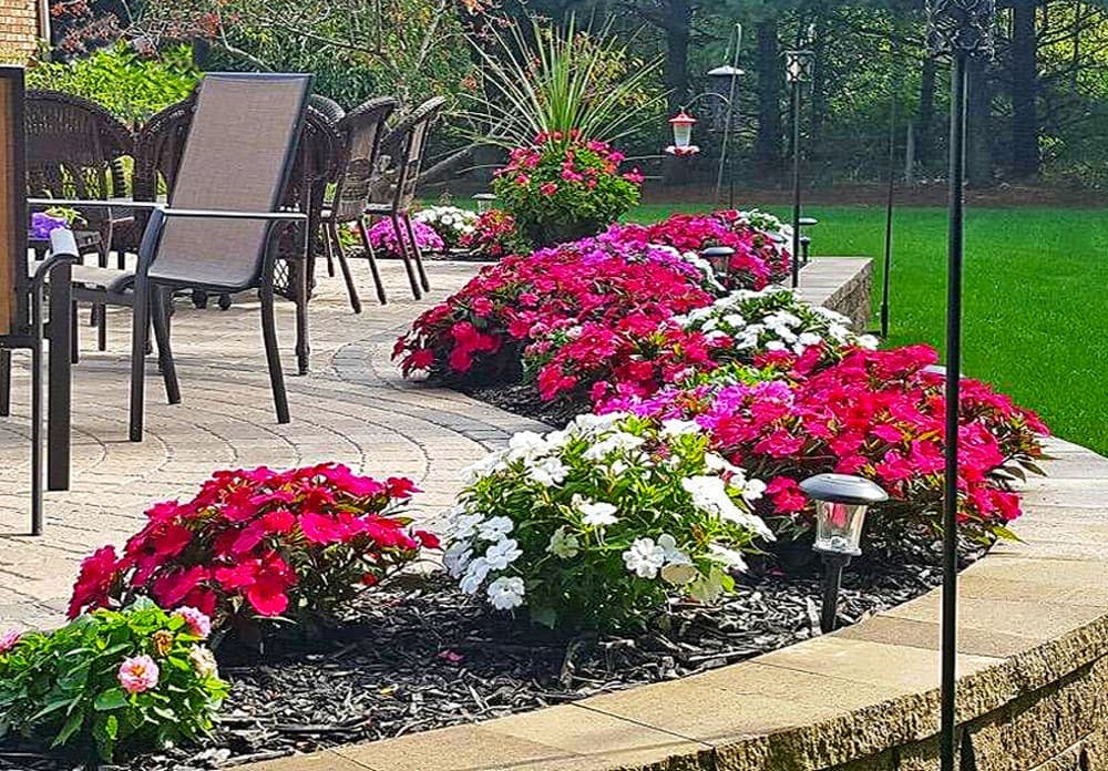 Vibrant flower beds with pink, white, and purple blooms lining a patio area.