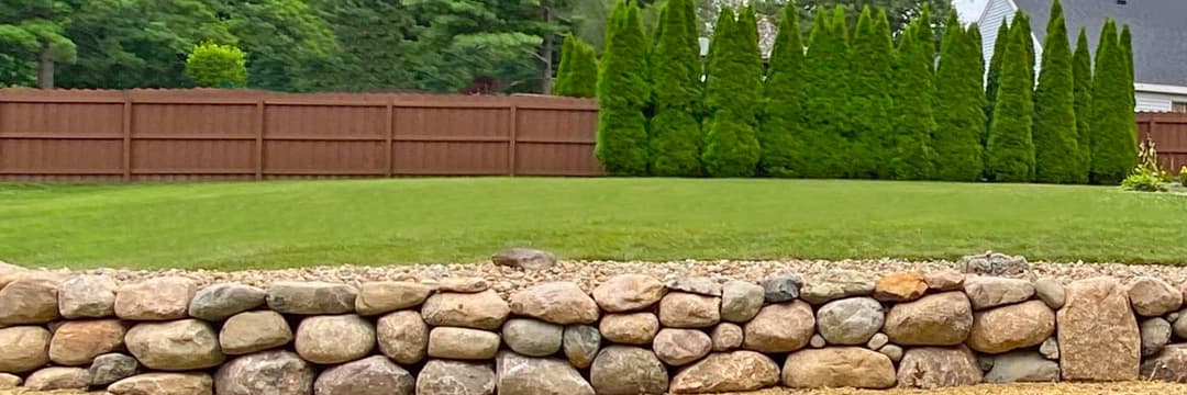 Lush green lawn with neatly trimmed conifer trees and a stone wall in a suburban backyard.